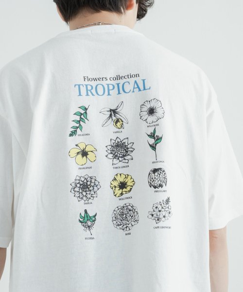 Tシャツ 半袖 カットソー 白t メンズ レディース バックプリント ヘビーウェイト 米綿 Usaコットン ビッグシルエット オーバーサイズ ゆったり ルーズ ロッキーモンロー Rocky Monroe D Fashion Tシャツ 半袖 カットソー 白t メンズ レディース バックプリント ヘビーウェイト 米綿 Usaコットン ビッグシルエット オーバーサイズ ゆったり ルーズ ロッキーモンロー Rocky Monroe D Fashion