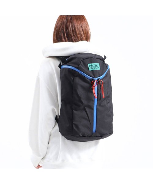 日本正規品 ミステリーランチ アーバンアサルト デイパック Mystery Ranch Urban Assault 18 リュックサック 18l ミステリーランチ Mystery Ranch D Fashion