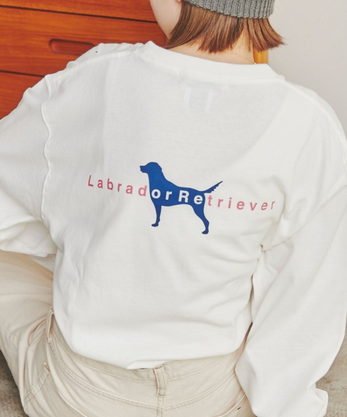 Labrador Retriever/ラブラドールレトリーバー 別注 カレッジ