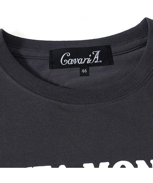 archive CavariA スカル バタフライ 英字プリント Tシャツ 楽天市場】スターオブハリウッド 半袖 ドビー コットン オープン