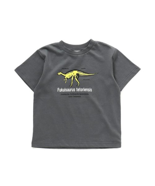 福井県立恐竜博物館コラボ 恐竜フラッシュtシャツ コドモ ブリーズ Breeze D Fashion