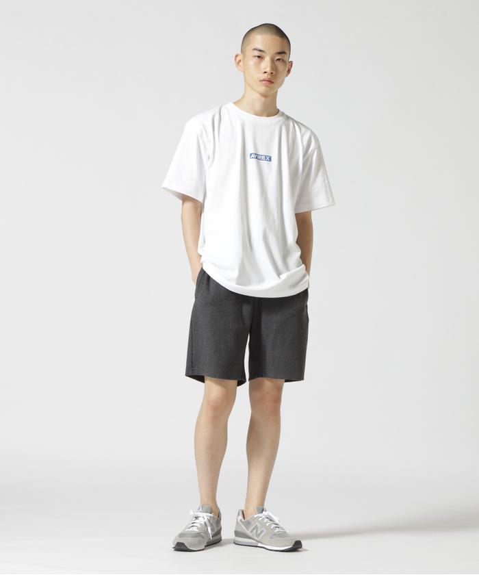 バンダナプリント　Tシャツ　プリスティン バンダナプリント ボックスロゴ Tシャツ/BANDANA PRINT T－SHIRT