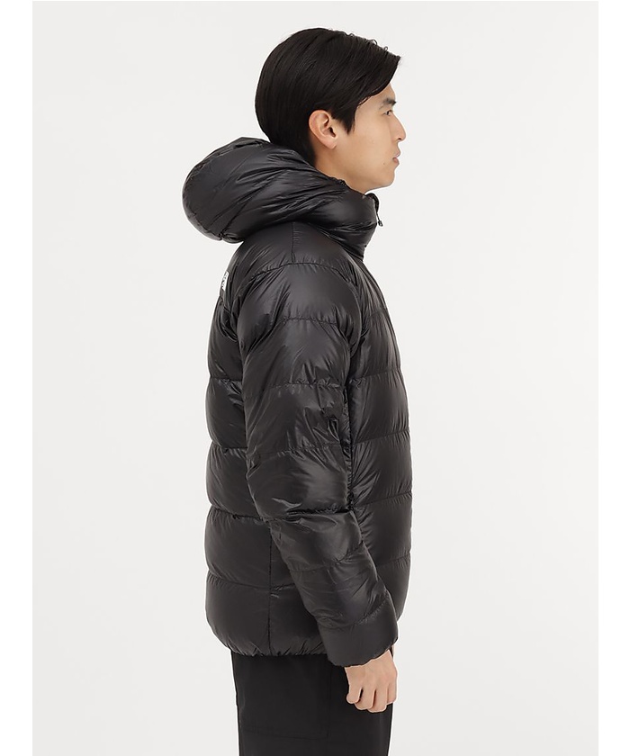 ザ・ノース・フェイス/ALPINE NUPTSE HOODIE (アルパインヌプシ