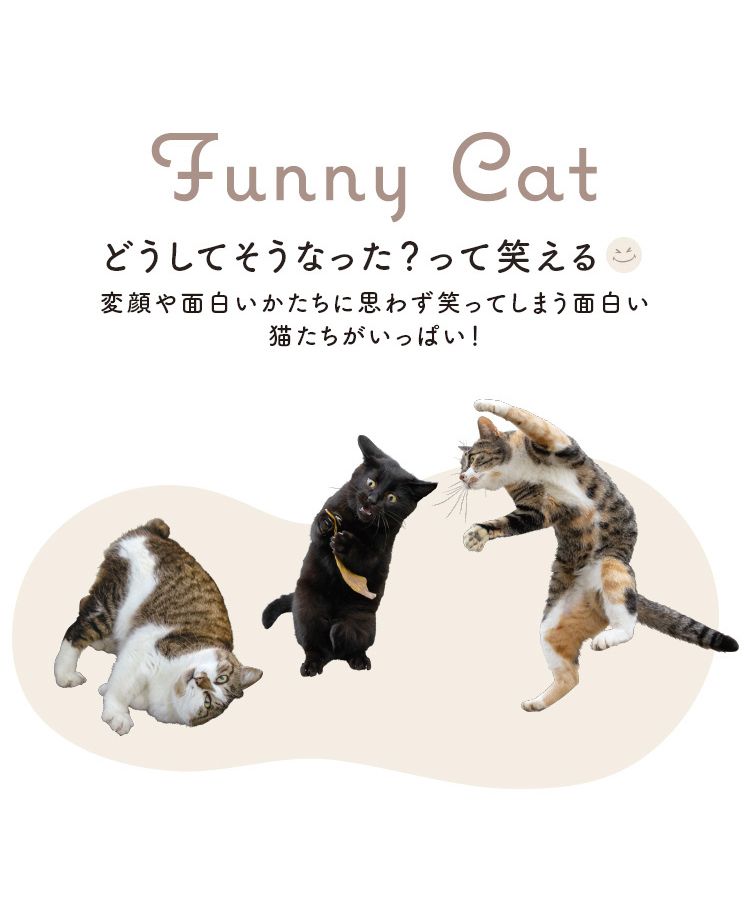 セール 20%OFF】【Wpc.公式】日傘 遮光アンブレにゃん 沖昌之
