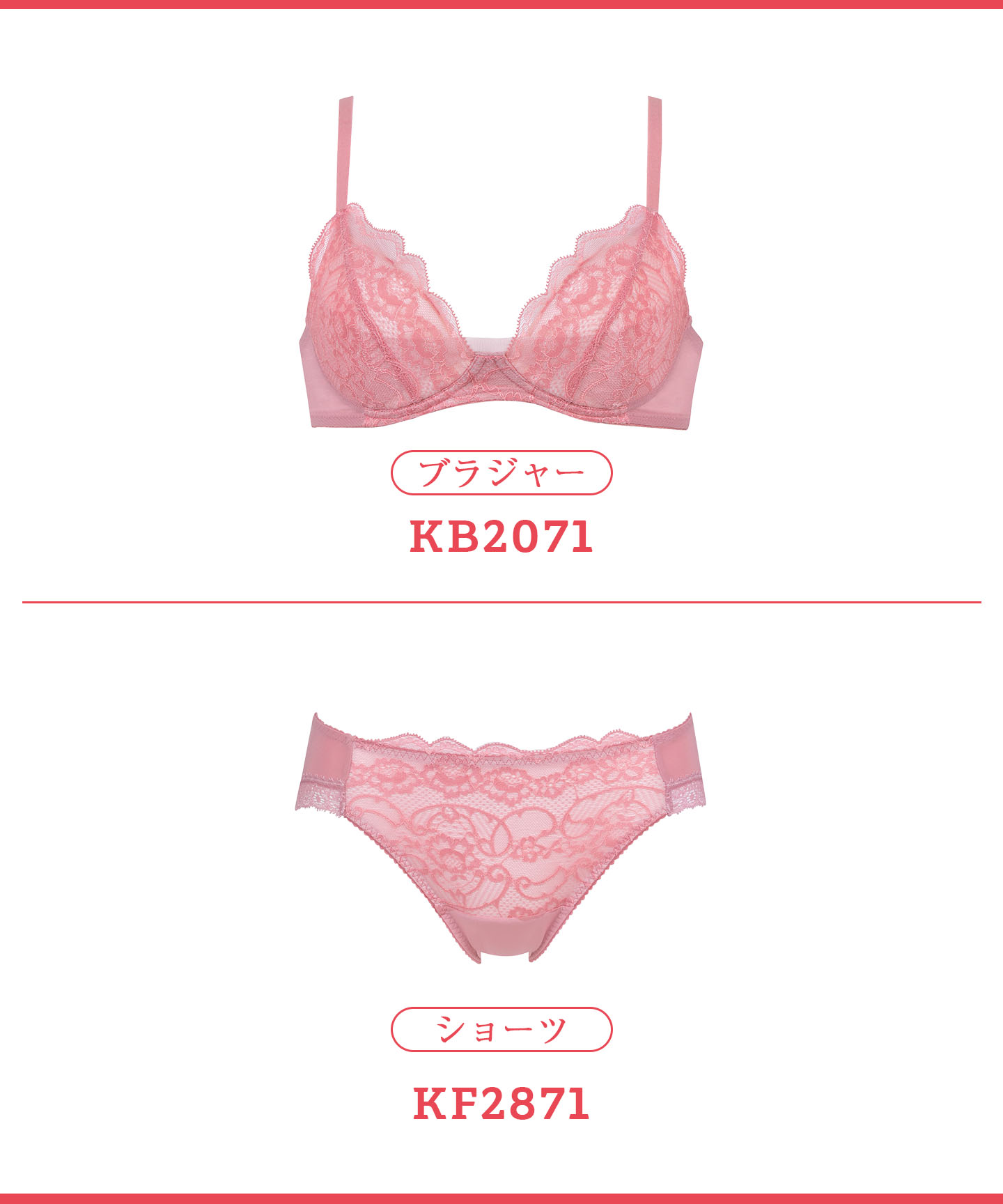 セール】ウイング Wing ノンワイヤー ブラジャー S~3L きれいな セール】ウイング Wing ノンワイヤー ブラジャー S~3L きれいな