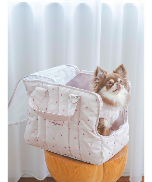 【CAT&DOG】【販路限定商品】モチーフ柄ミニサイズキャリーバッグ CAT&DOG】【販路限定商品】モチーフ柄ミニサイズキャリーバッグ