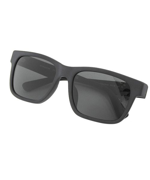 コーチのサングラスです。 coach-signature-ombre-