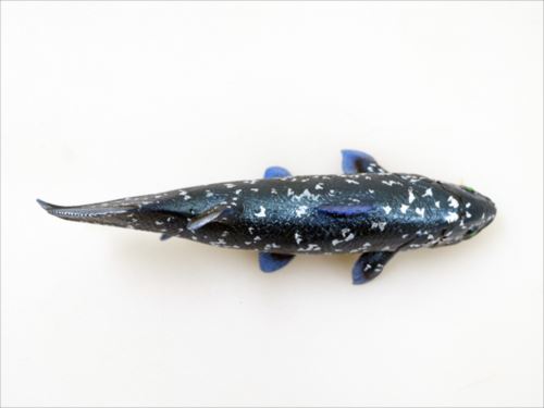 海洋堂 AQUALAND ARTPRA シーラカンス 古代魚 フィギュア