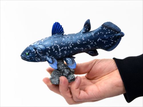海洋堂 AQUALAND ARTPRA シーラカンス 古代魚 フィギュア 海洋堂 AQUALAND ARTPRA シーラカンス 古代魚 フィギュア - メルカリ