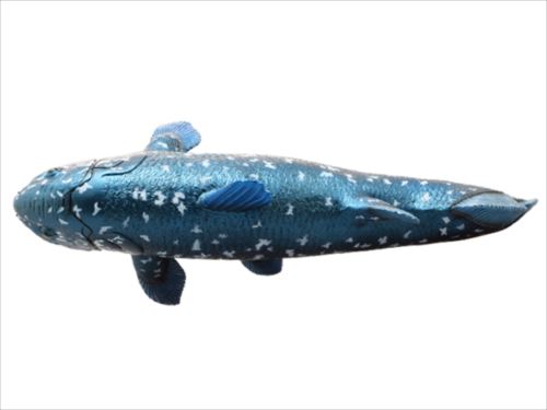 海洋堂 AQUALAND ARTPRA シーラカンス 古代魚 フィギュア 海洋堂 AQUALAND ARTPRA シーラカンス 古代魚 フィギュア - メルカリ