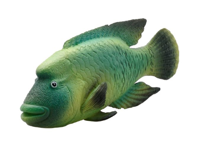 シネマコレクション cinemacollection 海洋生物 ナポレオン