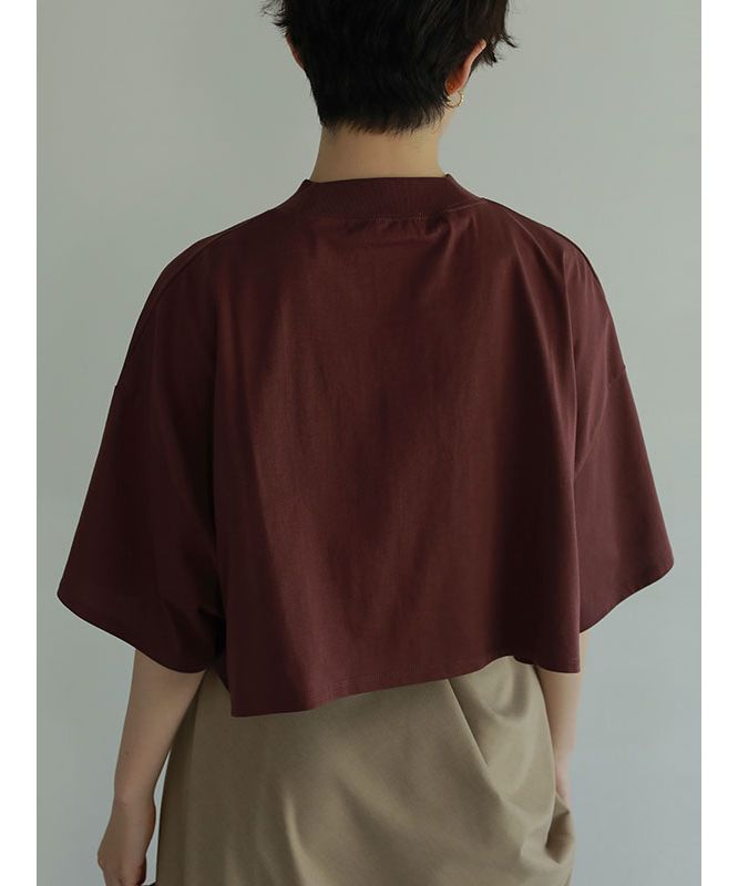 極美品✨エトレ クロップドモックネックTシャツ 洗える ワイド ホワイト 白 極美品✨エトレ クロップドモックネックTシャツ 洗える ワイド