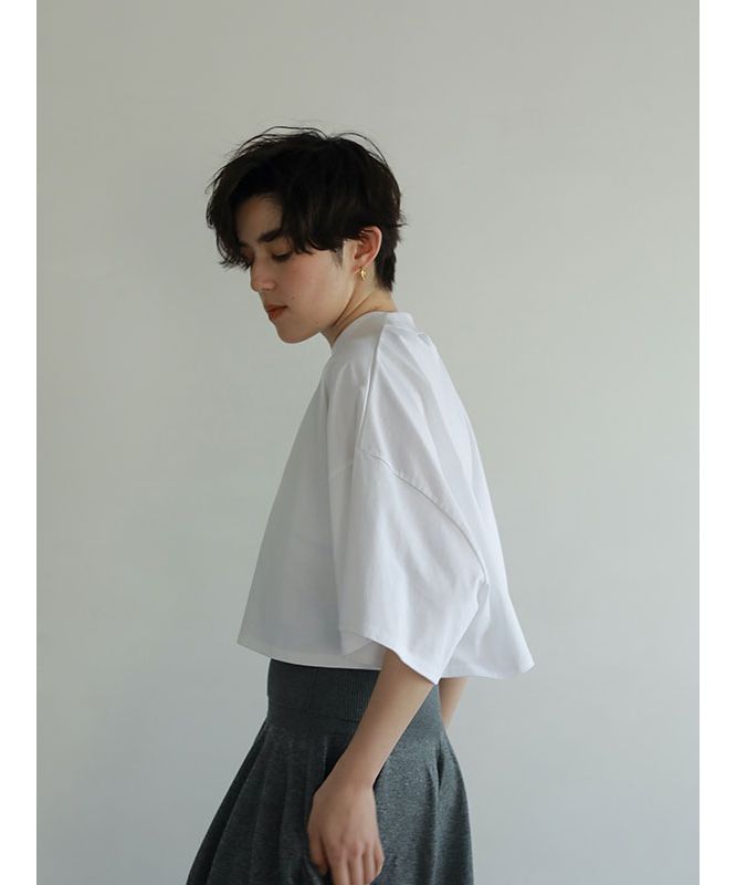 極美品✨エトレ クロップドモックネックTシャツ 洗える ワイド ホワイト 白 極美品✨エトレ クロップドモックネックTシャツ 洗える ワイド