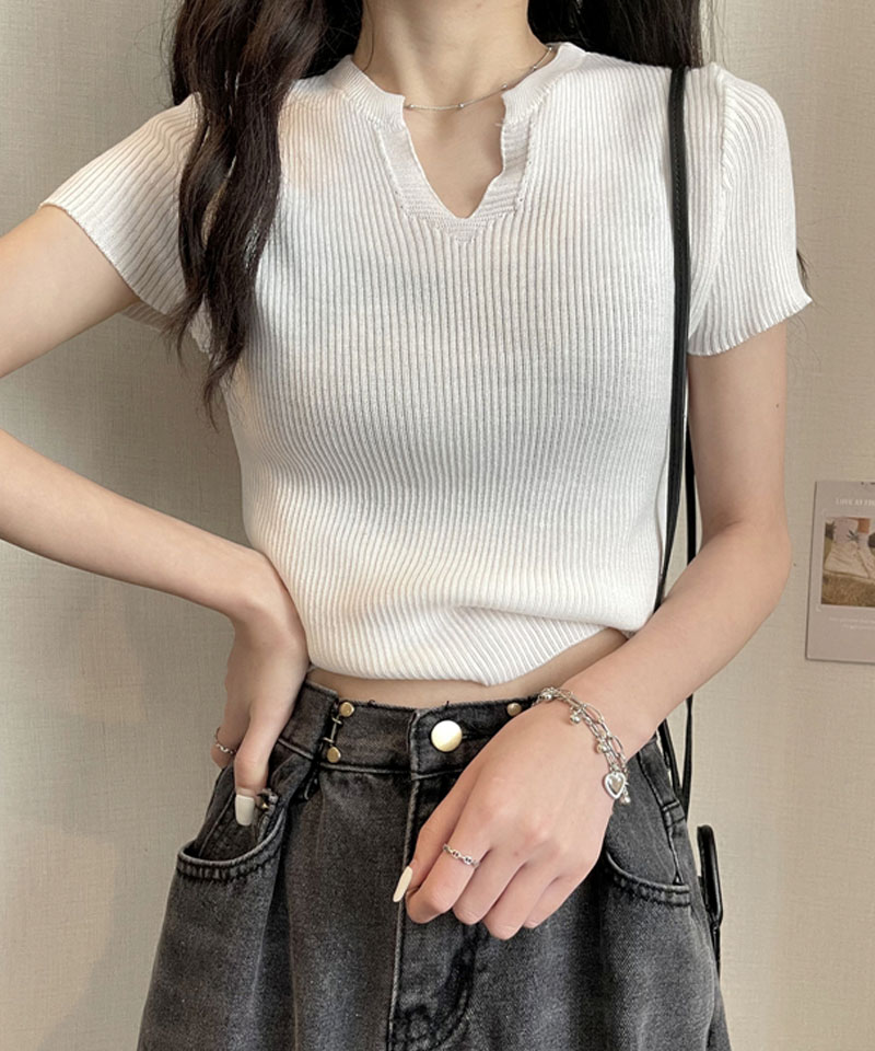 d.i.a トップス ショート丈 セール】ストレッチレースショート丈シアートップス（Tシャツ