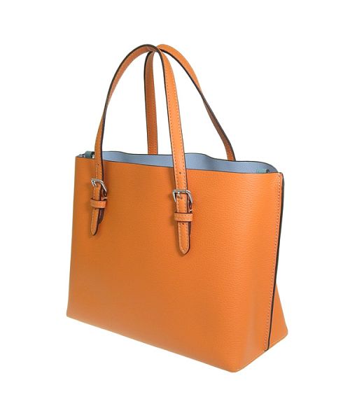 COACH コーチ MOLLIE TOTE 25 モリー トート バッグ 斜めがけ COACH コーチ MOLLIE TOTE 25 モリー トート バッグ 斜めがけ