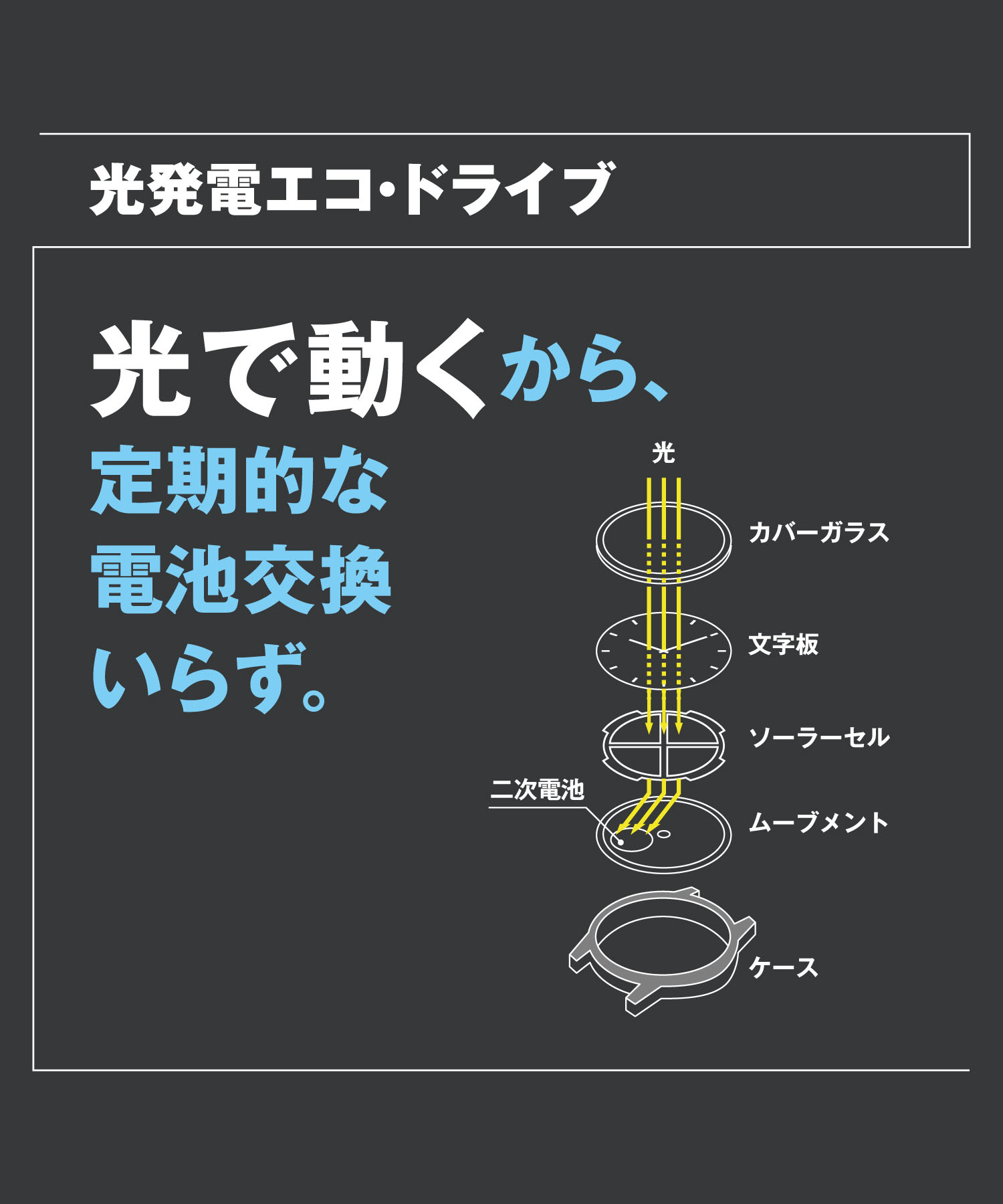 CITIZEN CREATIVE LAB 光発電エコ・ドライブ Eco-Drive 365 シルバー