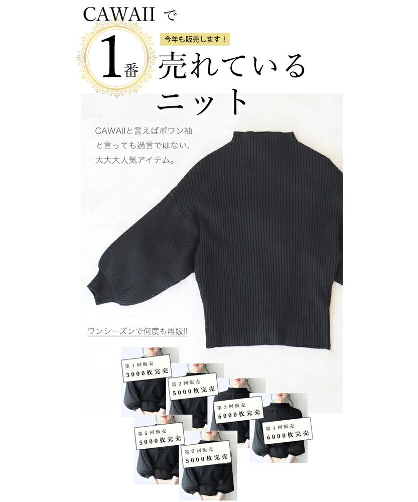 カワイイ CAWAII 袖ポワンとオフネックのニットトップス