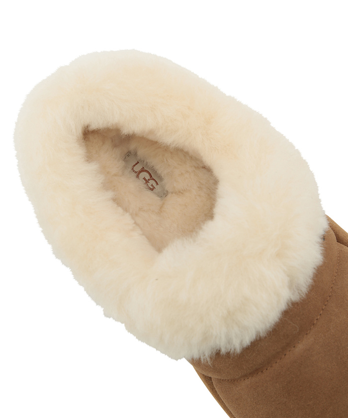 楽天市場】2024秋冬 【 ugg 国内正規商品 】 UGG Tazzlita アグ