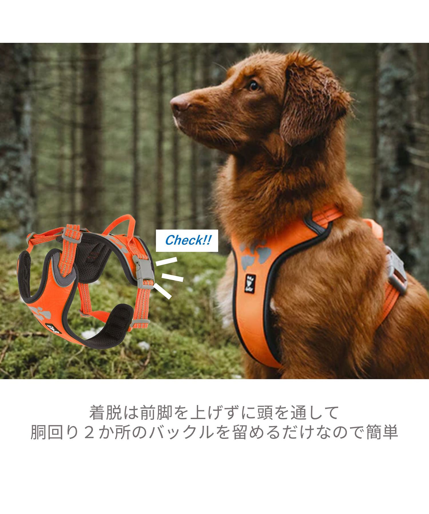 【ブルミー】フルッタ (Hurtta) ハーネス 60-80 中型犬大型犬 Amazon | フルッタ (Hurtta)ウォーリアハーネス (60-80cm