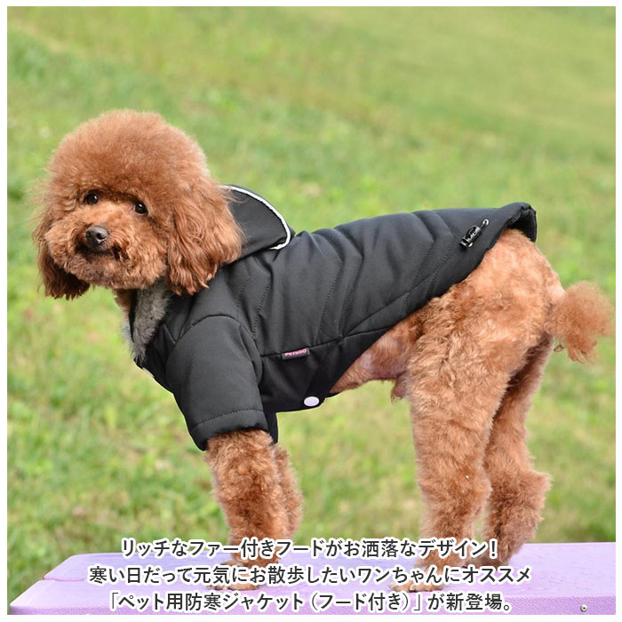 春いちご(赤)わんちゃん猫ちゃん用襟付き首輪