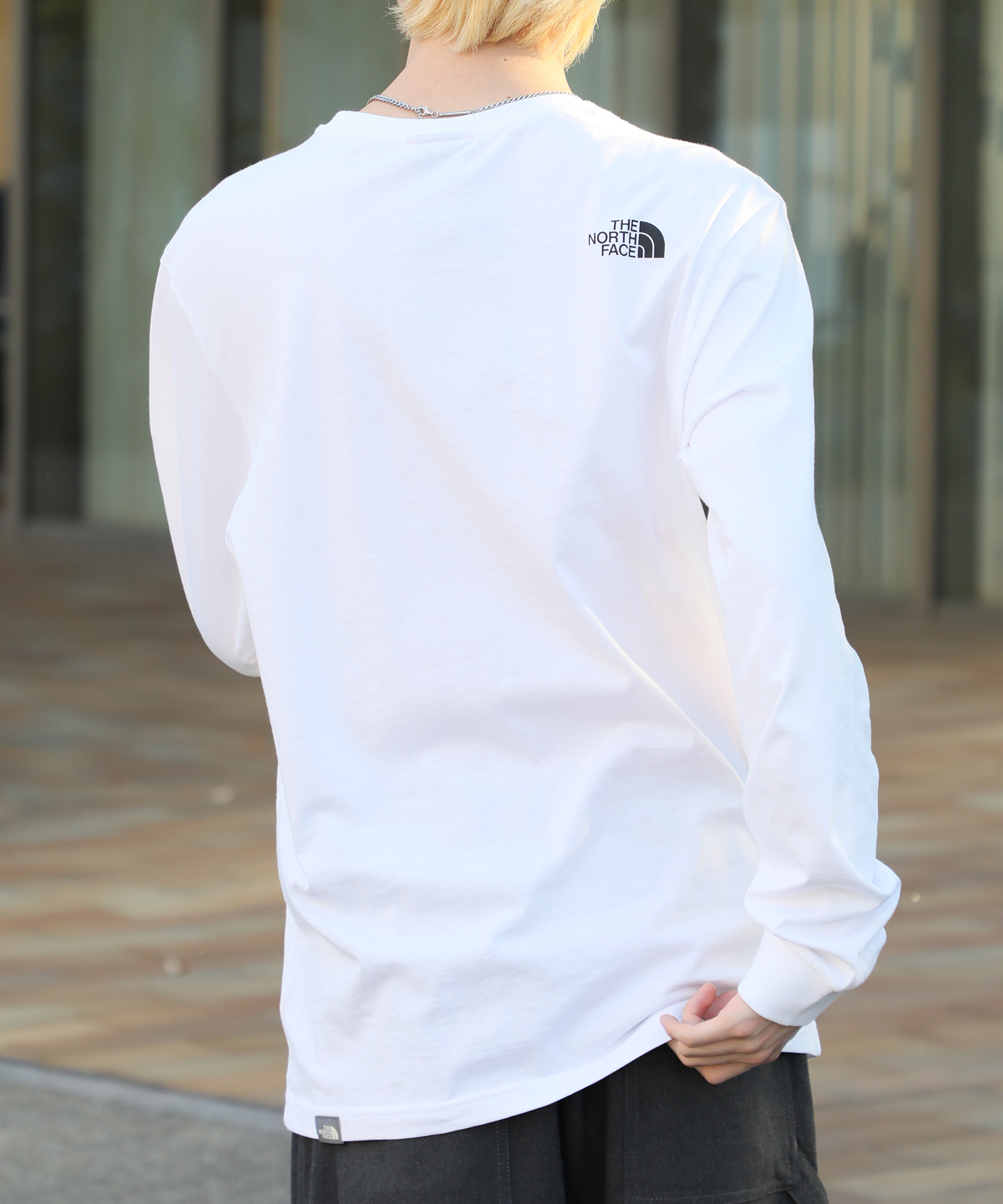 [ノースフェイス] M'S DOMEY 長袖 Tシャツ★新作・25SS★男女★ THE NORTH FACE ノースフェイス ロンT M'S FROST L/S R/TEE