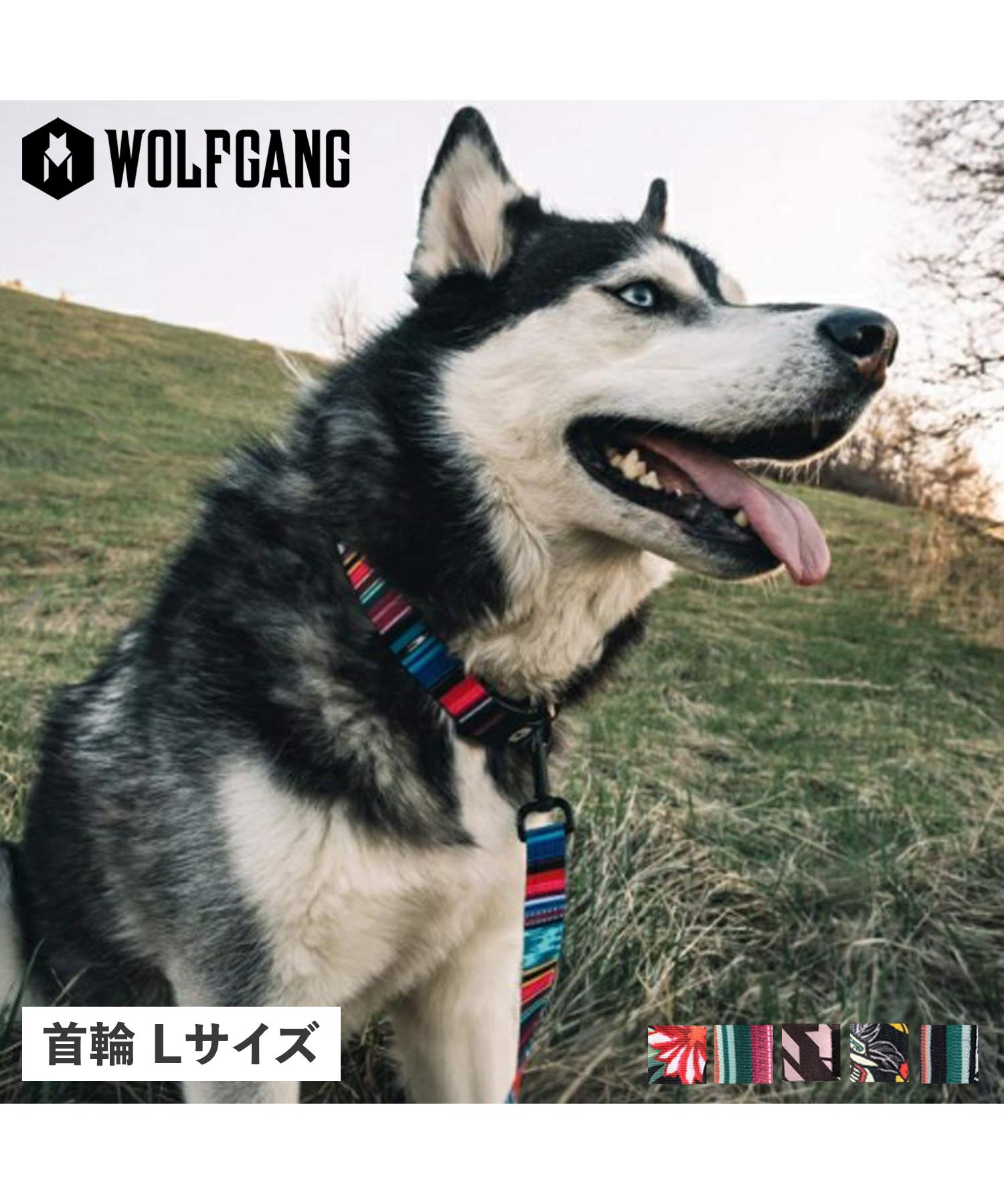 ウルフギャング WOLFGANG ウルフギャング WOLFGANG 首輪 大型犬