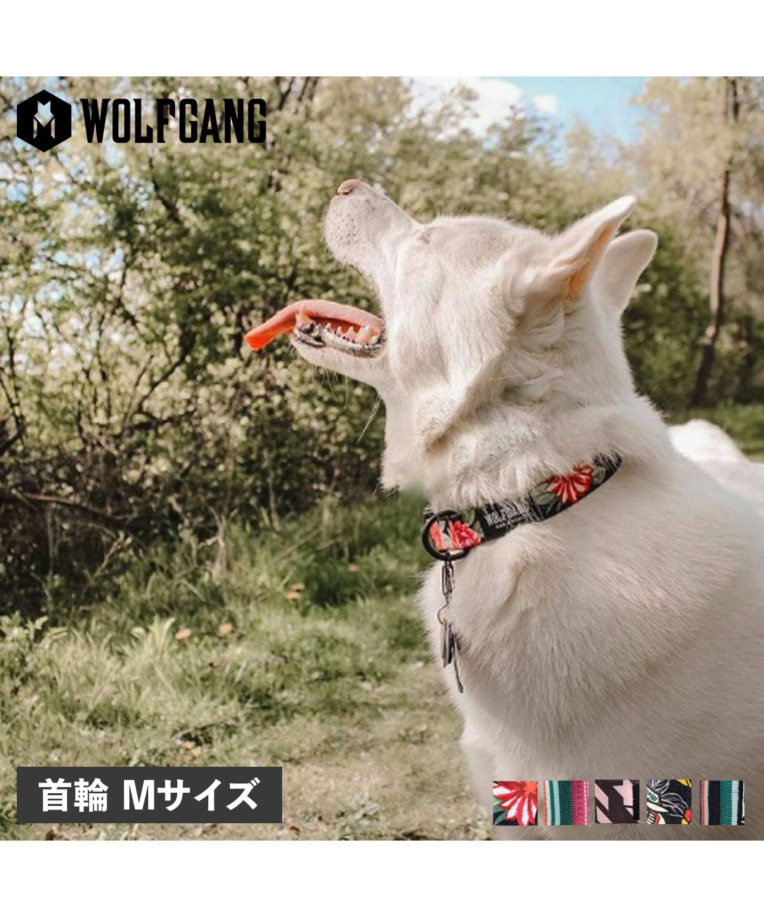 ペットリード、ハーネス、首輪｜ウルフギャング≪公式取扱い販売