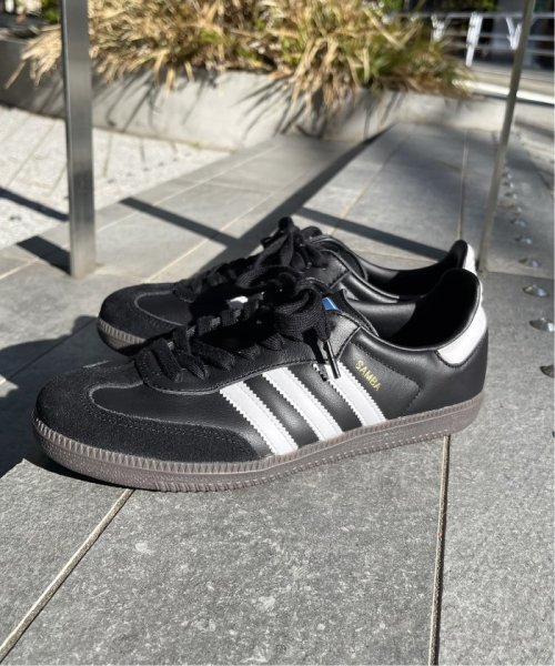 adidas / アディダス】SAMBA OG(505824852) | フレームワーク 