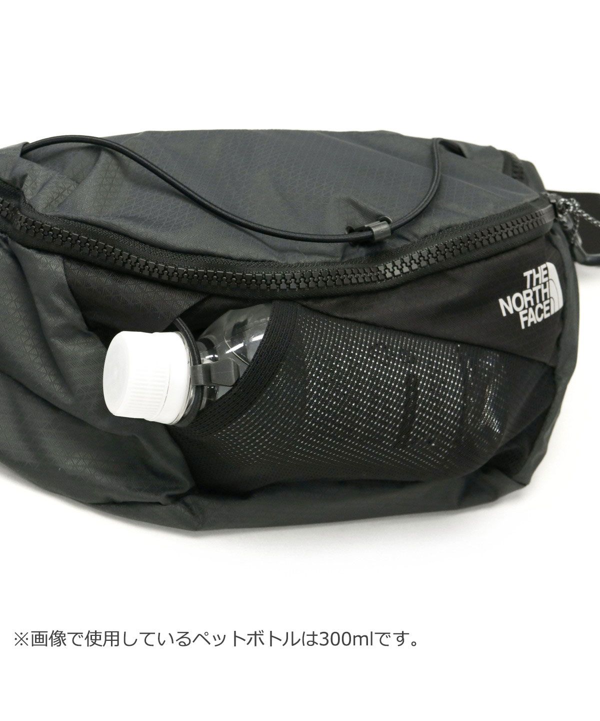 未使用　ザ・ノースフェイスORIGINAL PACKSベーシックディパック THE NORTH FACE デイバック リュック 日本未発売 FACE/ザ