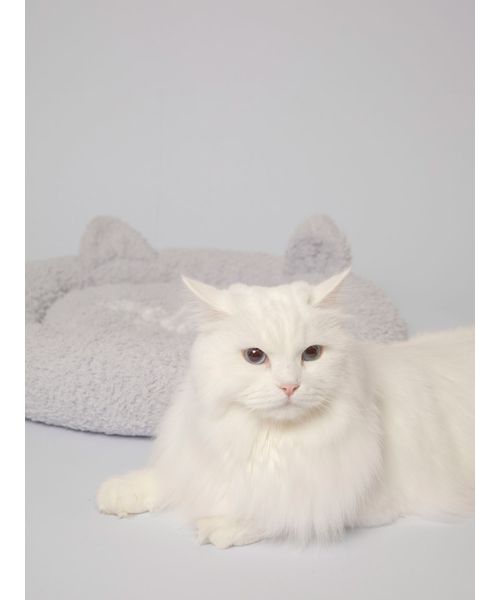 ジェラートピケ Sleep つづっ CATプリント毛布 ラグドール ジェラートピケ Sleep つづっ CATプリント毛布 ラグドール