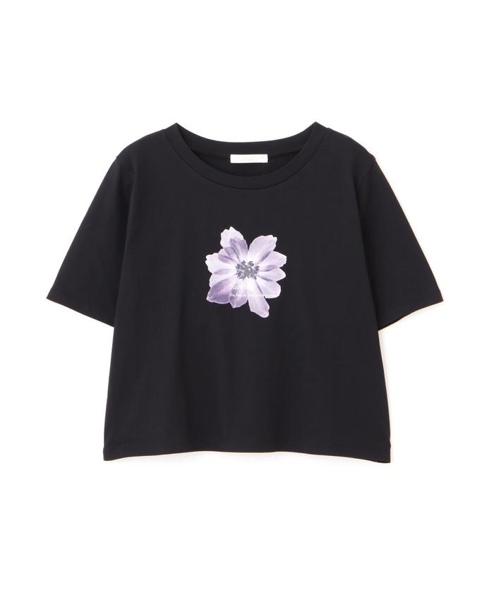 DR METHOD フラワープリント ボディスーツ GM セール】ショート丈フラワーフォトTシャツ(505914584