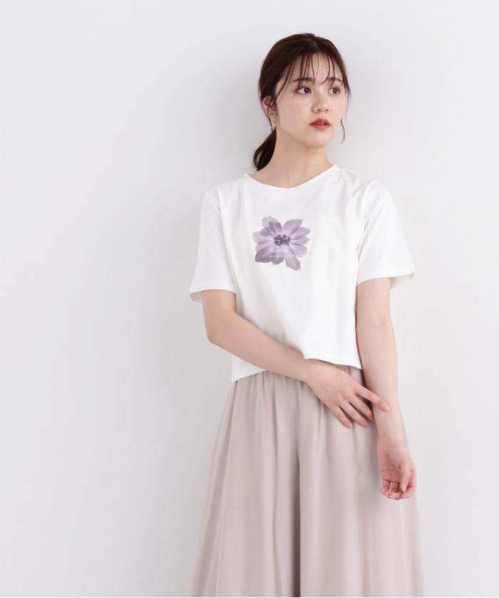 セール】ショート丈フラワーフォトTシャツ(505914584