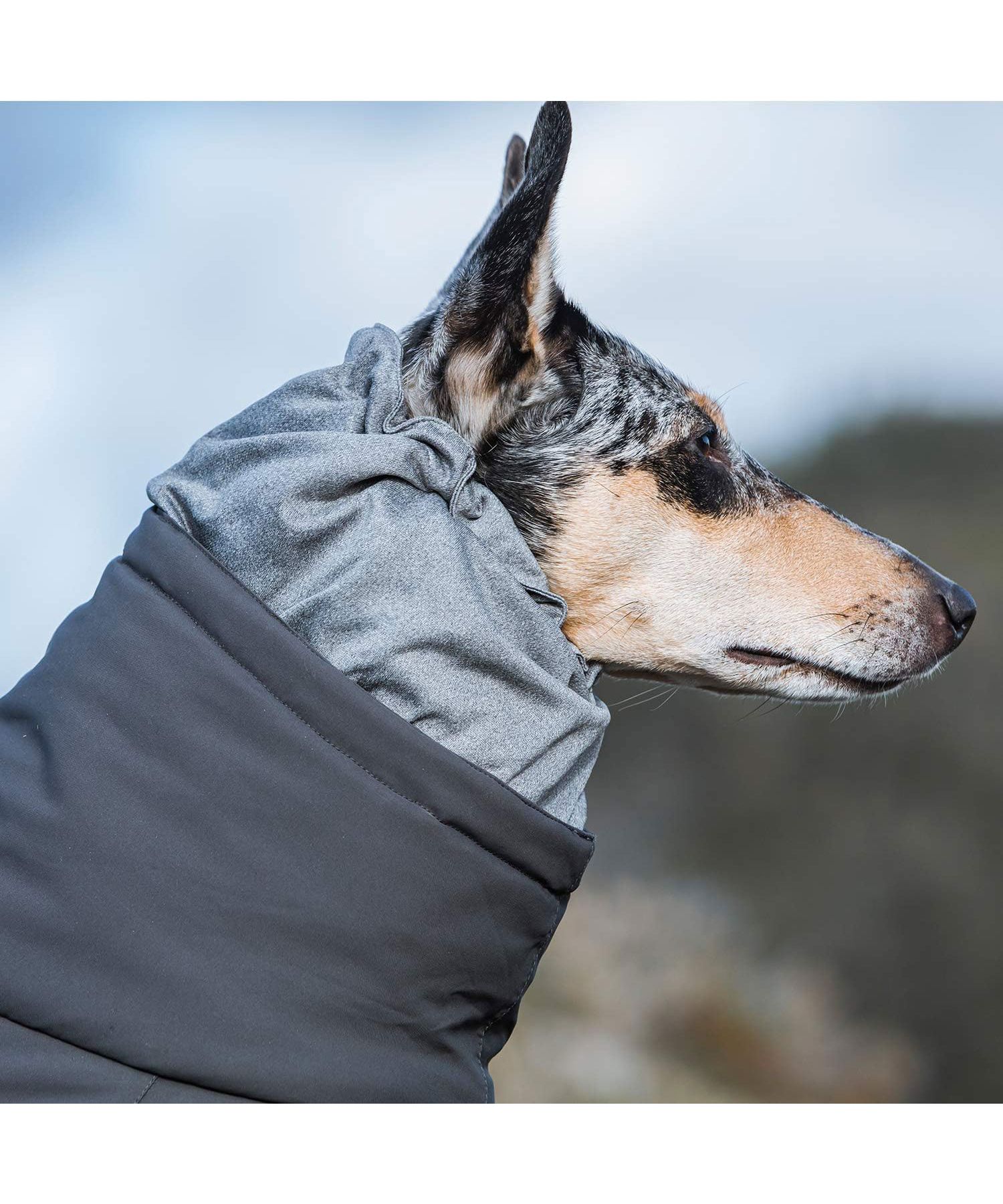 国内発送 犬 Hurtta フルッタ Hurtta フルッタ 服 冬 犬服 オーバーオール 犬服・アクセサリー