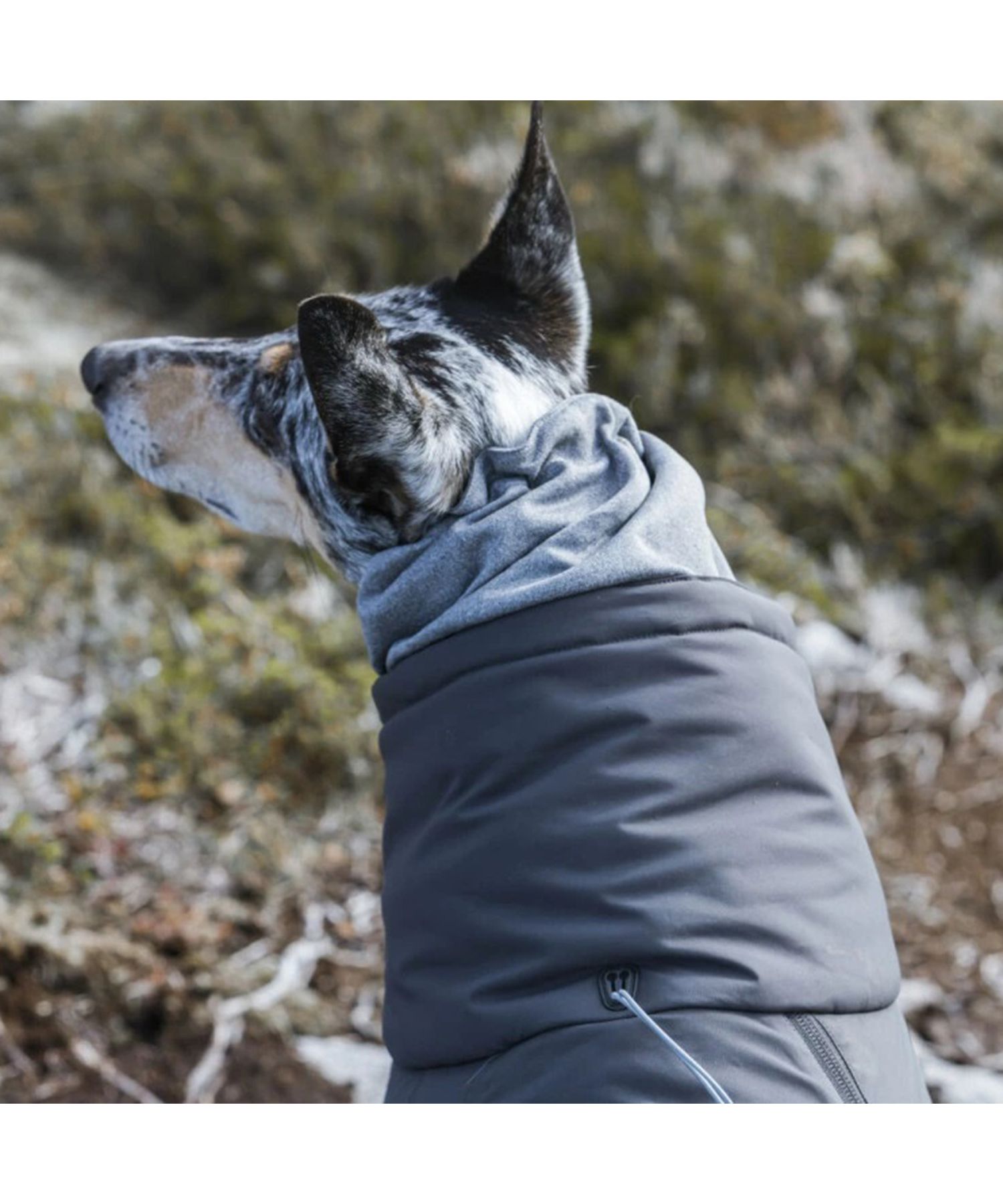 フルッタ Hurtta フルッタ Hurtta 犬 服 オーバーオール 犬服 冬