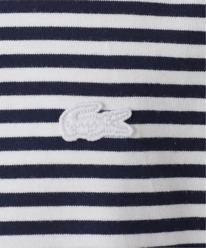 セール 30%OFF】LACOSTE (ラコステ) 別注 ボーダーTシャツ(505970367) | エディフィス(EDIFICE) - d  fashion