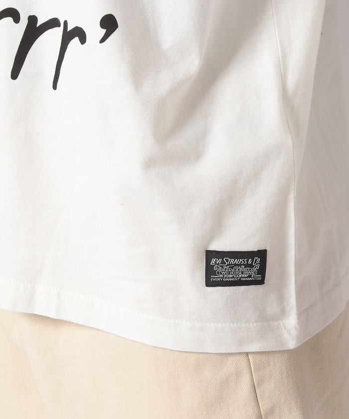 セール 50%OFF】LEVI'S(R) SKATE グラフィック 長袖Tシャツ