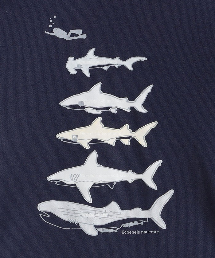 【SHIPS KIDS別注】MOUN TEN.140cm セットアップ SHIPS KIDS別注】MOUN TEN.:110～140cm / SOLOTEX(R) ジャケット