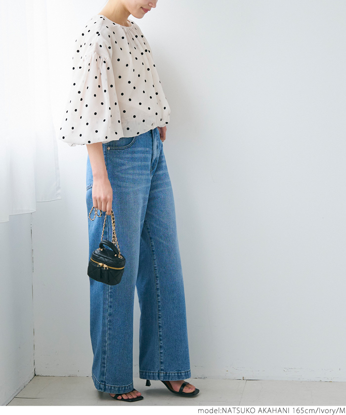 ドット柄シアーバルーンブラウス（ショート丈/ボリューム袖