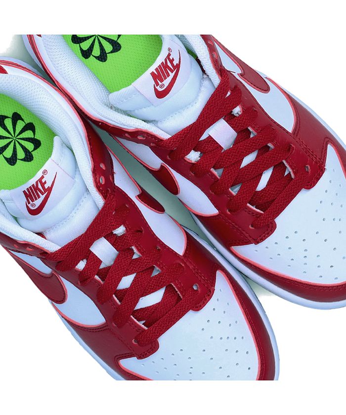 ナイキ NIKE ダンク ロー ネクストネイチャー スニーカー