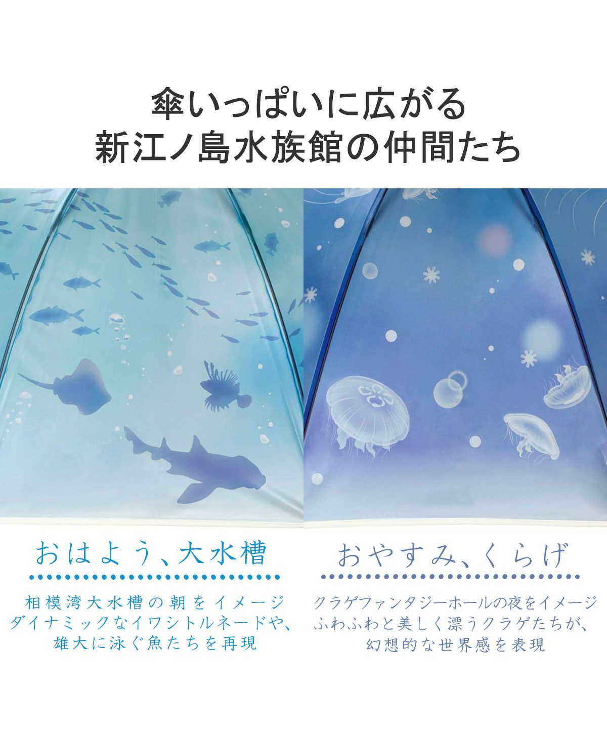 ダブリュピーシー Wpc. Wpc. 傘 折りたたみ傘 ビニール 軽量