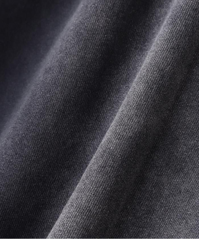 DankeSchon/ダンケシェーン/PIGMENT SPRAYING NS/ピグメント
