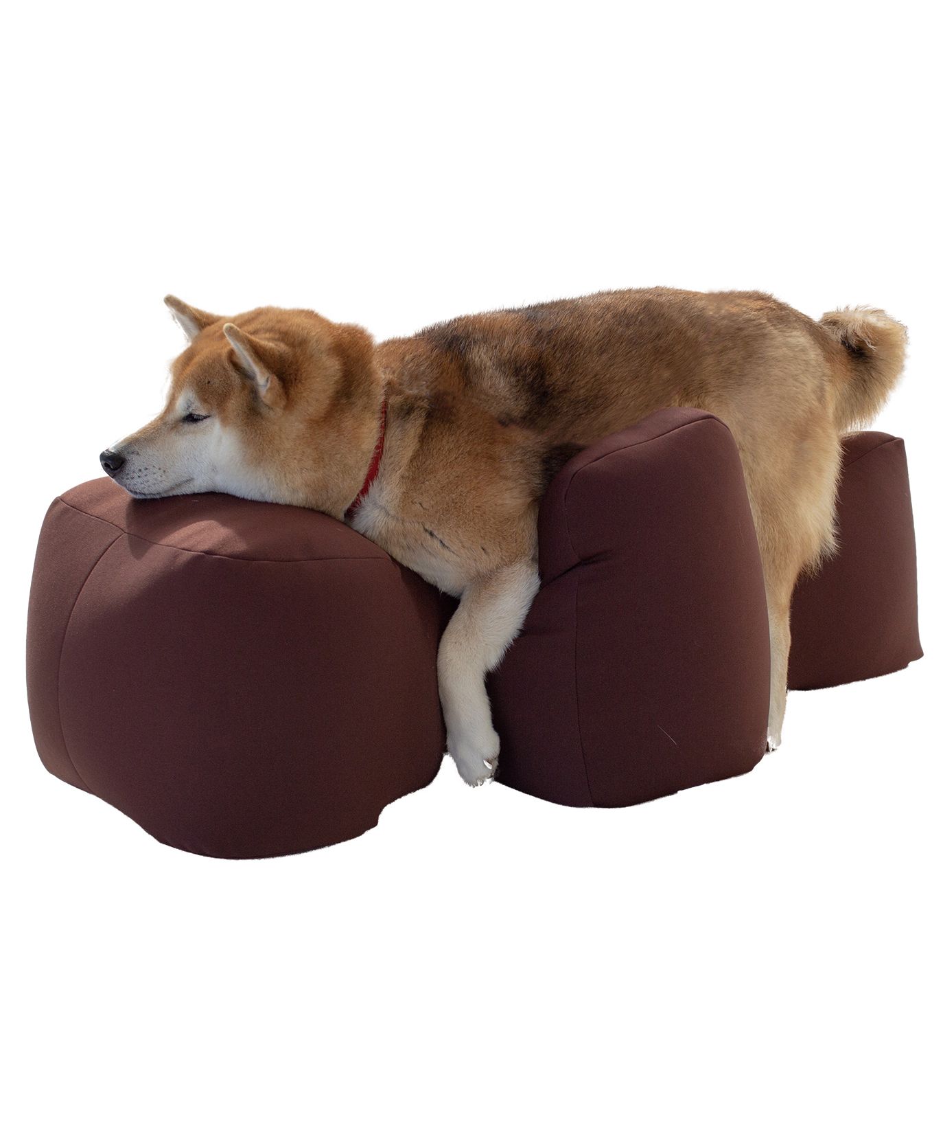 リラクッション M 犬用　ワンエイド 楽天市場】OneAid リラクッション M 中型犬用 犬用介護用品