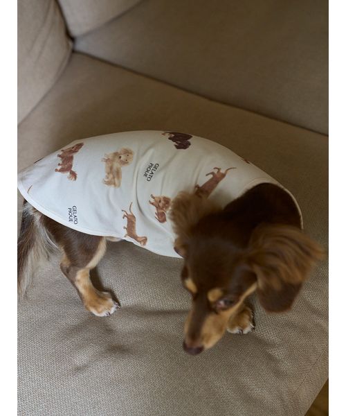 セール 30%OFF】【CAT&DOG】ダックスフンド柄プルオーバー セール 30%OFF】【CAT&DOG】ダックスフンド柄プルオーバー