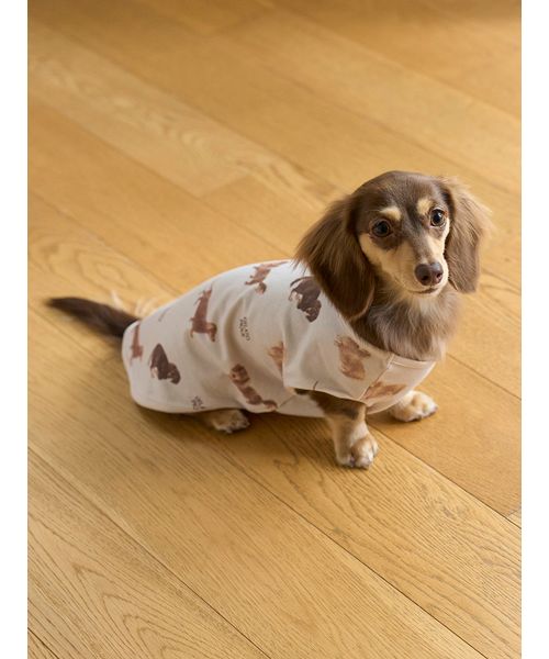 セール 30%OFF】【CAT&DOG】ダックスフンド柄プルオーバー セール 30%OFF】【CAT&DOG】ダックスフンド柄プルオーバー