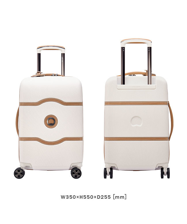 DELSEY スーツケース 機内持ち込みサイズのみ1個 べし