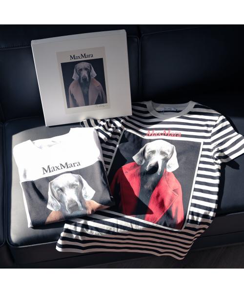 楽天市場】max mara（Tシャツ・カットソー｜トップス