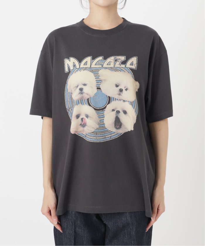 モコゾウ　Tシャツ　B.C STOCK ポメラニアン　シーズー おもしろいぬ モコゾウ×B.C STOCK】コラボアイテム発売決定