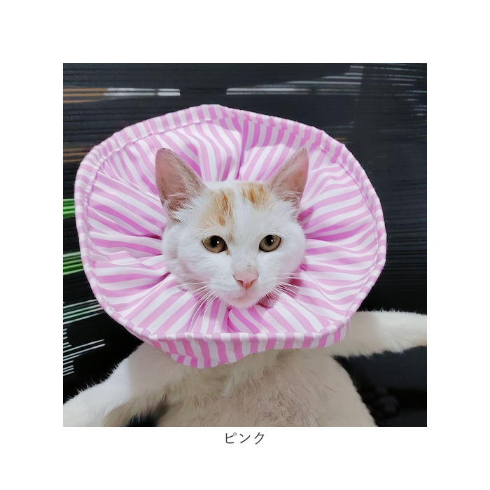 Amazon.co.jp: 猫壱 猫用おもちゃ キャットトンネルスパイラル