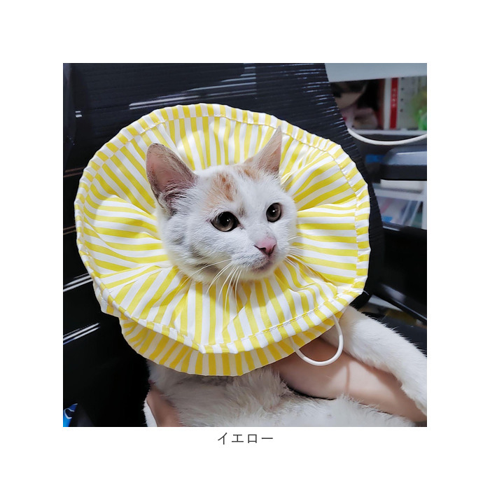 エリザベスカラー 猫 ソフト(506777906) | バックヤード エリザベスカラー 猫 ソフト(506777906) | バックヤード