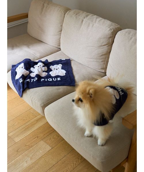 ベアトイ＆ブランケットSET【cat&dog】 ベアトイ＆ブランケットSET【cat&dog】
